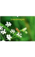 Insectimages 2018