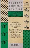 Pictorial Poultry-Keeping And Gardening And Encyclopaedia Of Rabbit, Goat And Bee-Keeping, Pig Keeping And Small Holdings Management