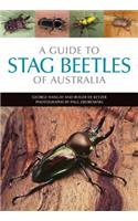 A Guide to Stag Beetles of Australia