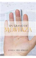 Un grano de mostaza: (Spanish)