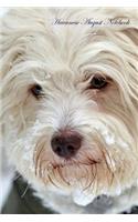 Havanese August Notebook Havanese Record, Log, Diary, Special Memories, To Do List, Academic Notepad, Scrapbook & More