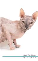 Sphynx Cat Affirmations Workbook Sphynx Cat Presents: Positive and Loving Affirmations Workbook. Includes: Mentoring Questions, Guidance, Supporting You.