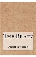 The Brain
