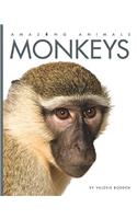 Monkeys: (Amazing Animals (Creative Education Hardcover))