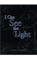 I Can See the Light