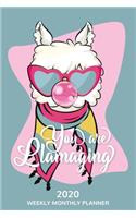 You Are Llamaging 2020 Weekly Monthly Planner