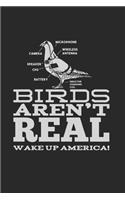 Birds Aren't Real: 120 Pages 6 'x 9' -Dot Graph Paper Journal Manuscript - Planner - Scratchbook - Diary