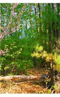 2020 Weekly Planner Springtime Forest Path 134 Pages: 2020 Planners Calendars Organizers Datebooks Appointment Books Agendas