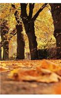 Trees Notebook