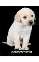 Labrador Puppy Journal