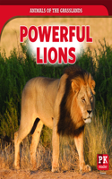 Powerful Lions