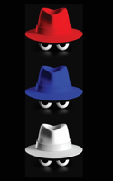 Red Team Blue Team: A White Hacking Reference