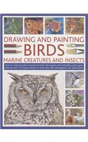 Drawing and Painting Birds, Marine Creatures and Insects