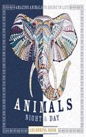 Animals Night & Day Colouring Book