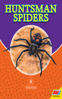 Huntsman Spiders: (Spiders)