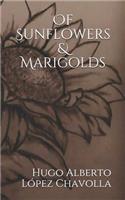 Of Sunflowers & Marigolds