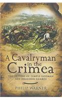 A Cavalryman in the Crimea