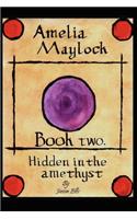 Amelia Maylock, Book Two. Hidden in the Amethyst.