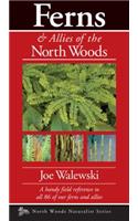 Ferns & Allies of the North Woods