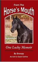 From the Horse's Mouth