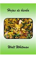 Hojas de Hierba