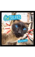 Cat Selfies 2019 Square