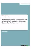 Fremde unter Fremden. Untersuchung zum Fremden in Anschluss an Georg Simmels Exkurs über den Fremden