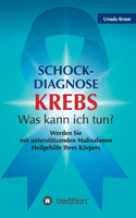 Schock-Diagnose KREBS - Was kann ich tun?: Werden Sie mit unterstützenden Maßnahmen Heilgehilfe Ihres Körpers