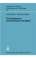 Development of the Red Pulp in the Spleen