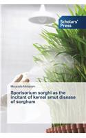 Sporisorium sorghi as the incitant of kernel smut disease of sorghum