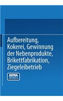 Aufbereitung, Kokerei, Gewinnung Der Nebenprodukte, Brikettfabrikation, Ziegeleibetrieb