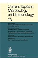 Current Topics in Microbiology and Immunology / Ergebnisse Der Mikrobiologie Und Immunitätsforschung