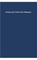 Structure and Control of the Melanocyte