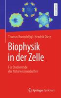 Biophysik in der Zelle