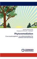 Phytoremediation