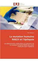 La Mutation Humaine R482x Et L Épilepsie