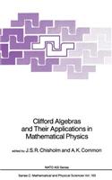 Clifford Algebras and Their Applications in Mathematical Physics