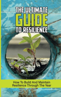 The Ultimate Guide To Resilience: How To Build And Maintain Resilience Through The Year: Steps To Build Your Resilience