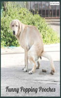 Funny Popping Pooches 2021 Wall Calendar