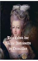 Das Leben der Marie Antoinette in Versailles