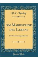 Am Marksteine Des Lebens: Fünfundzwanzig Grabreden (Classic Reprint)