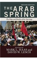 Arab Spring: The Hope and Reality of the Uprisings