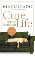 Cure for the Common Life: Living in Your Sweet Spot(English)