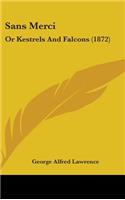 Sans Merci: Or Kestrels and Falcons (1872)