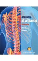 Anatomy at a Glance