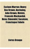 Esclave Marron: Henry Box Brown, Anchaing, John Brown, Mafate, Franois Mackandal, Heva, Cimendef, Sacatove, Francisque Fabule(French)