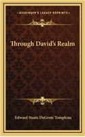 Through David's Realm