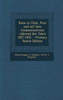 Reise in Chile, Peru Und Auf Dem Amazonenstrome Wahrend Der Jahre 1827-1832. - Primary Source Edition