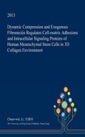 Dynamic Compression and Exogenous Fibronectin Regulates Cell-Matrix Adhesions and Intracellular Signaling Proteins of Human Mesenchymal Stem Cells in 3D Collagen Environment: (English)