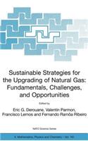 Sustainable Strategies for the Upgrading of Natural Gas: Fundamentals, Challenges, and Opportunities